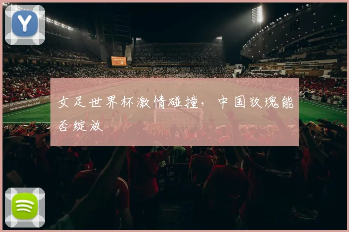 女足世界杯激情碰撞,中国玫瑰能否绽放