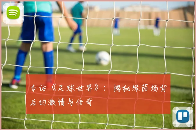 专访《足球世界》：揭秘绿茵场背后的激情与传奇
