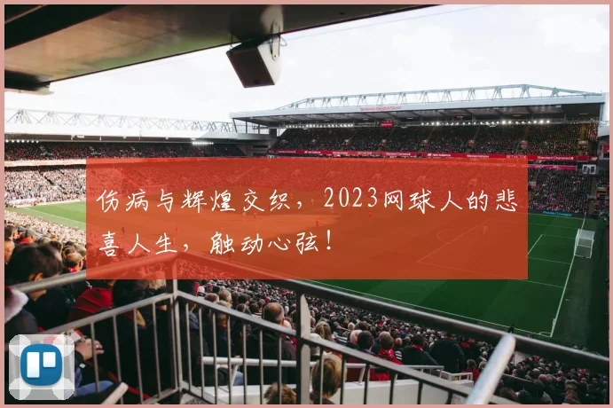 伤病与辉煌交织，2023网球人的悲喜人生，触动心弦！
