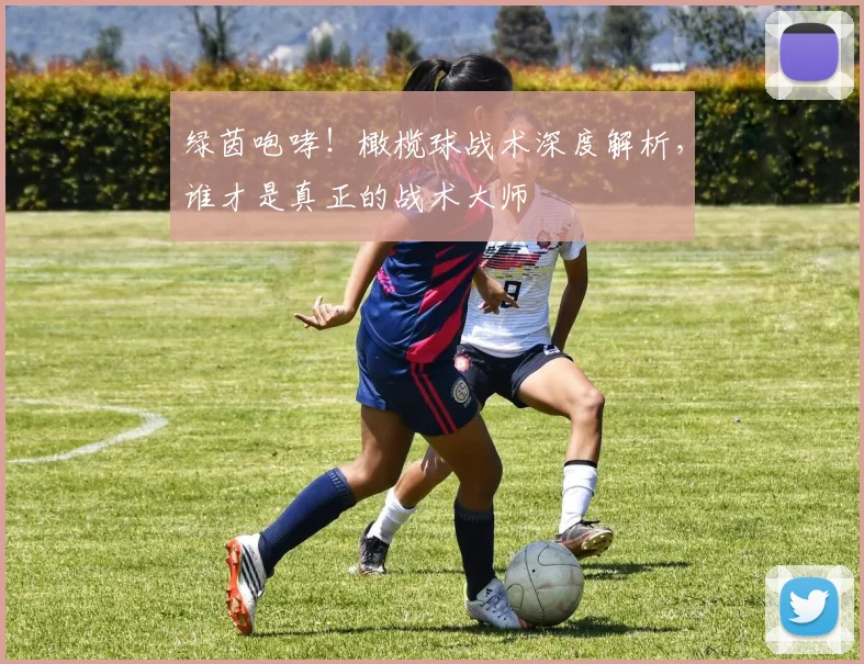 绿茵咆哮！橄榄球战术深度解析，谁才是真正的战术大师