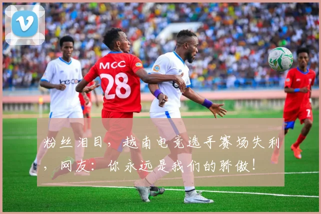 粉丝泪目,越南电竞选手赛场失利,网友:你永远是我们的骄傲!