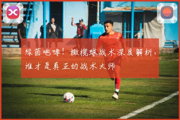 绿茵咆哮！橄榄球战术深度解析，谁才是真正的战术大师