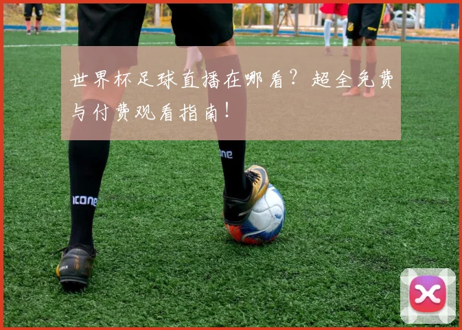 世界杯足球直播在哪看？超全免费与付费观看指南！