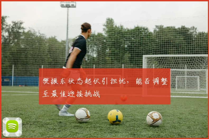 樊振东状态起伏引担忧，能否调整至最佳迎接挑战