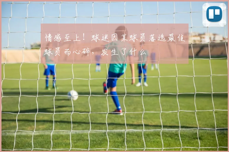 情感至上！球迷因某球员落选最佳球员而心碎，发生了什么